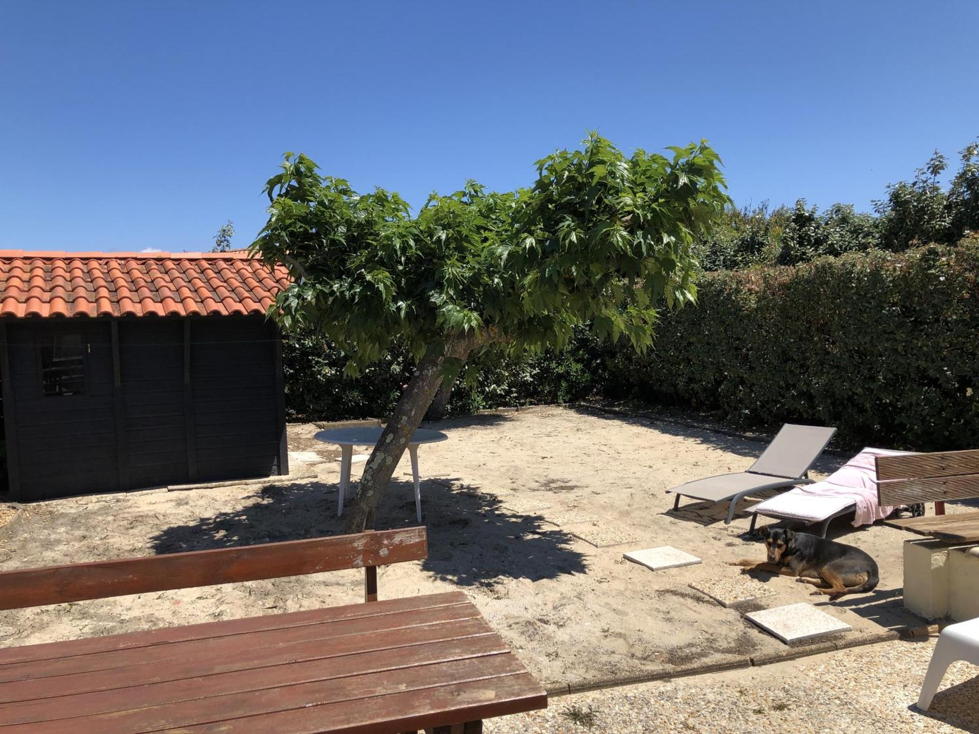 La Cabane De Biscarrosse Εξωτερικό φωτογραφία